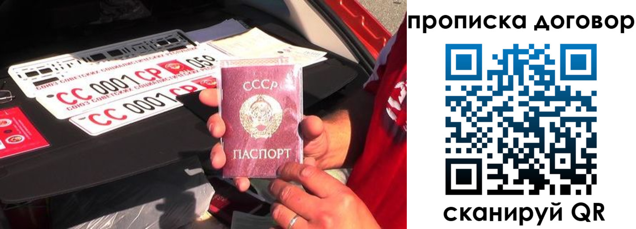 прописка гарантия в Саратове
